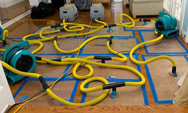 Professional Flood Damage Restoration technician working in Woolwich, ME
